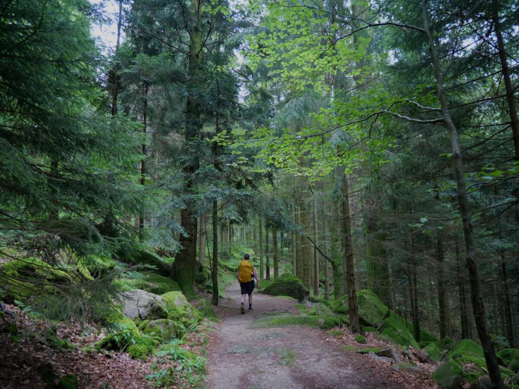 Volker Schwolow auf einer Wanderung durch den Wald.