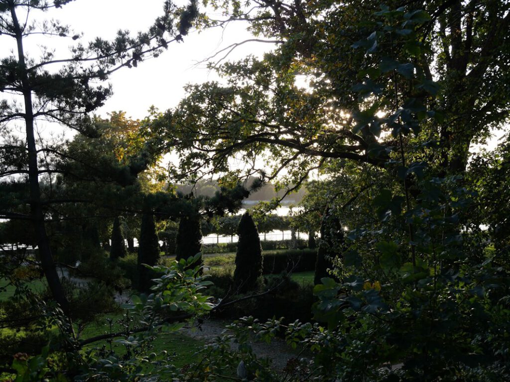 Angebote für Unternehmen: Teamcoaching trifft Betriebsausflug